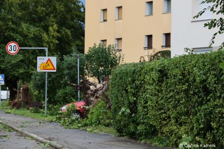 Neurje z vetrom podiralo drevesa in odkrivalo strehe (25)